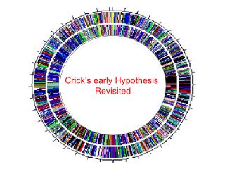 Crick’s early Hypothesis Revisited