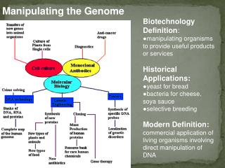 Biotechnology Definition : manipulating organisms to provide useful products or services