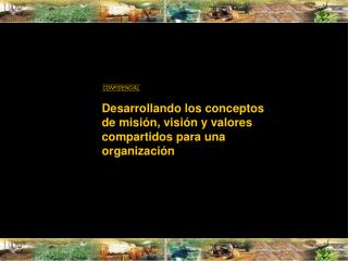 Desarrollando los conceptos de misión, visión y valores compartidos para una organización