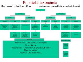 Praktická taxonómia