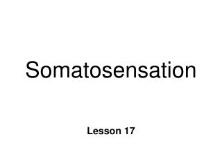 Somatosensation