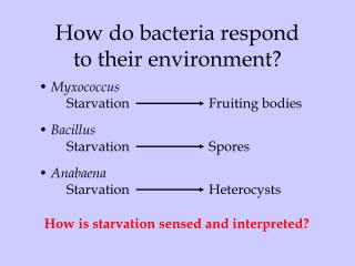 How do bacteria respond to their environment?