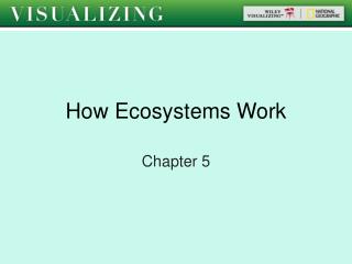 How Ecosystems Work