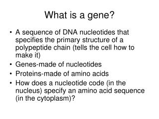 What is a gene?