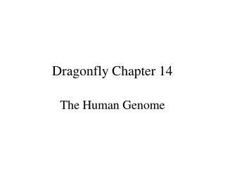 Dragonfly Chapter 14