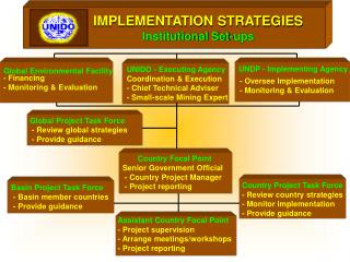 IMPLEMENTATION STRATEGIES Institutional Set-ups