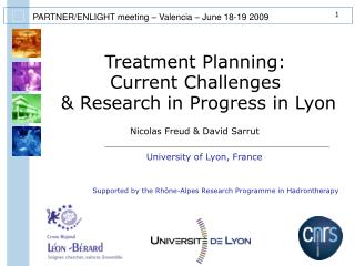 Treatment Planning: Current Challenges &amp; Research in Progress in Lyon