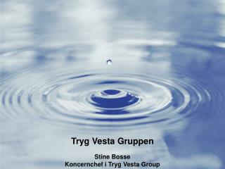 Tryg Vesta Gruppen Stine Bosse Koncernchef i Tryg Vesta Group