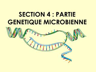 SECTION 4 : PARTIE GENETIQUE MICROBIENNE