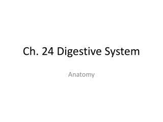 Ch. 24 Digestive System