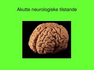 Akutte neurologiske tilstande