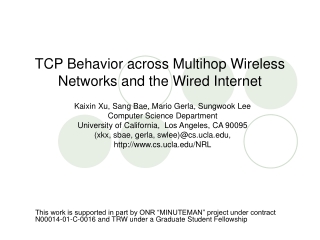 TCP Behavior across Multihop Wireless Networks and the Wired Internet