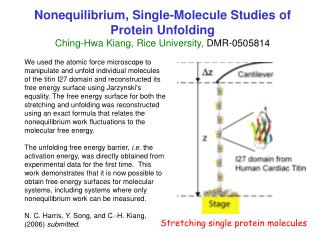 Stretching single protein molecules