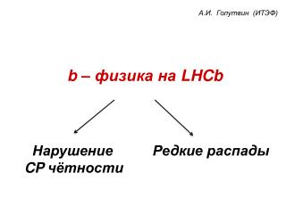 b – физика на LHCb