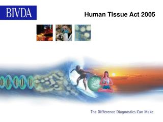 Human Tissue Act 2005