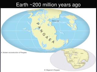 Earth ~200 million years ago