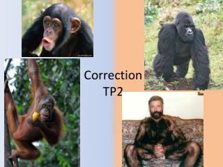 Correction TP2