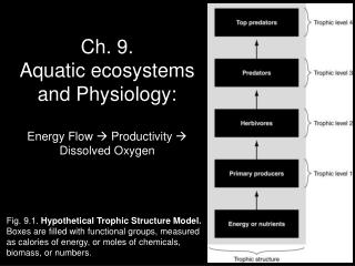 Ch. 9. Aquatic ecosystems and Physiology: Energy Flow  Productivity  Dissolved Oxygen