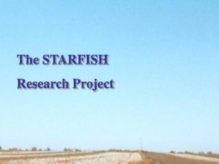 The STARFISH Research Project