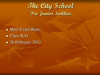 The City School Pre Junior Sukkur