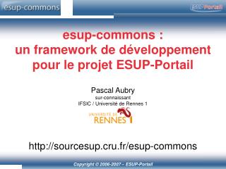 esup-commons : un framework de développement pour le projet ESUP-Portail