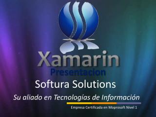 Softura Solutions Su aliado en Tecnologías de Información