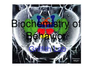 Biochemistry of Behavior Griffith Lab