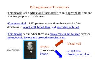 Pathogenesis of Thrombosis
