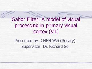 Gabor Filter: A model of visual processing in primary visual cortex (V1)