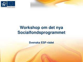 Workshop om det nya Socialfondsprogrammet Svenska ESF-rådet