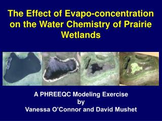 The Effect of Evapo -concentration on the Water Chemistry of Prairie Wetlands
