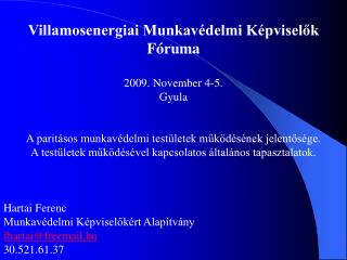 Villamosenergiai Munkavédelmi Képviselők Fóruma 2009. November 4-5. Gyula