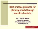 Best practice guidance for planning roads through sensitive habitats