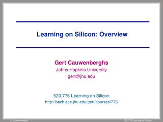 Learning on Silicon: Overview