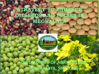 STRATEGY TO ENHANCE OILSEEDS AND PULSES IN MEGHALAYA