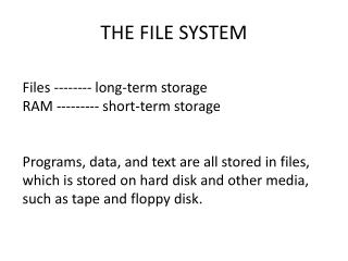 THE FILE SYSTEM
