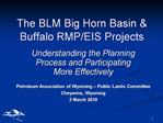 The BLM Big Horn Basin Buffalo RMP