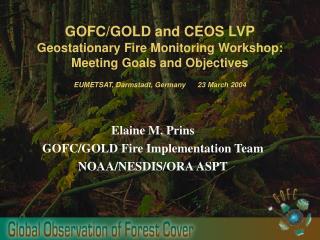 Elaine M. Prins GOFC/GOLD Fire Implementation Team NOAA/NESDIS/ORA ASPT