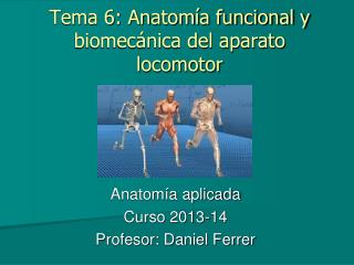 Tema 6: Anatomía funcional y biomecánica del aparato locomotor