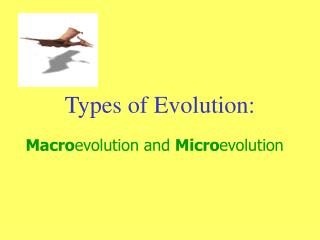 Types of Evolution: