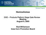 Hemicellulose DOE Products Platform Stage Gate Review Meeting August 9, 2005