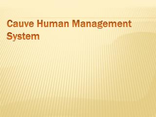 Cauve Human Management System