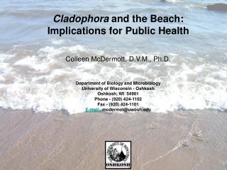 Cladophora and the Beach: Implications for Public Health Colleen McDermott, D.V.M., Ph.D.