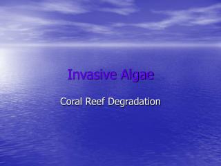 Invasive Algae