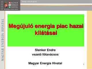 Slenker Endre vezető főtanácsos Magyar Energia Hivatal