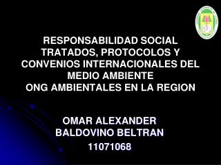 OMAR ALEXANDER BALDOVINO BELTRAN 11071068