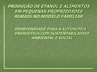 PRODUÇÃO DE ETANOL E ALIMENTOS EM PEQUENAS PROPRIEDADES RURAIS NO MODELO FAMILIAR