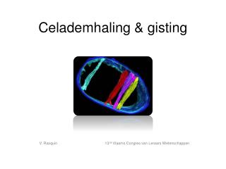 Celademhaling &amp; gisting