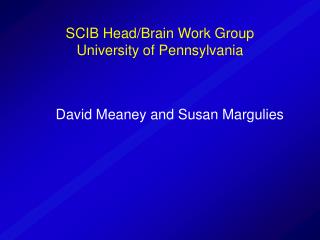 SCIB Head/Brain Work Group University of Pennsylvania
