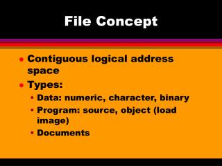File Concept